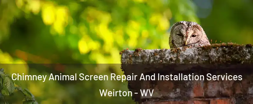  Chimney Animal Screen Repair And Installation Services Weirton - WV
