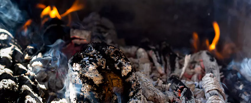 Creosote Removal Experts in Weirton, WV